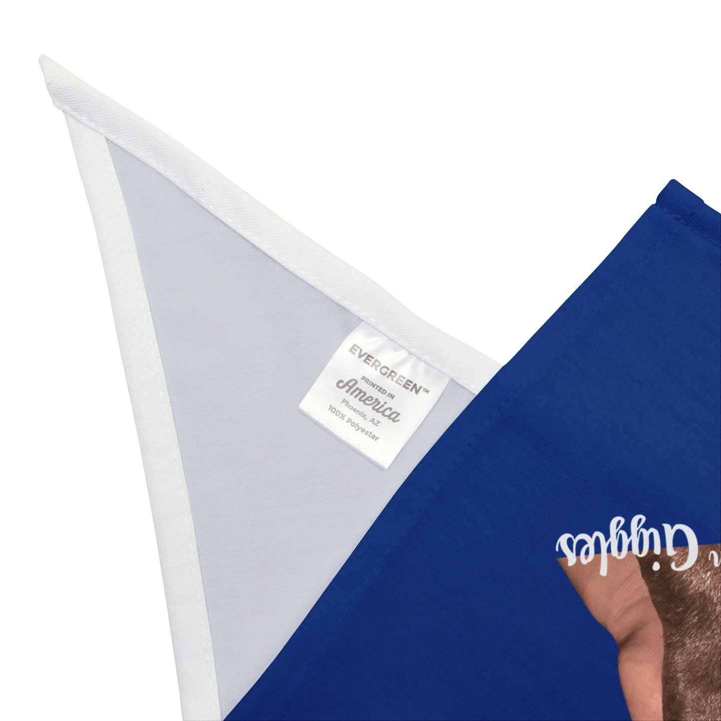 Pet Bandana