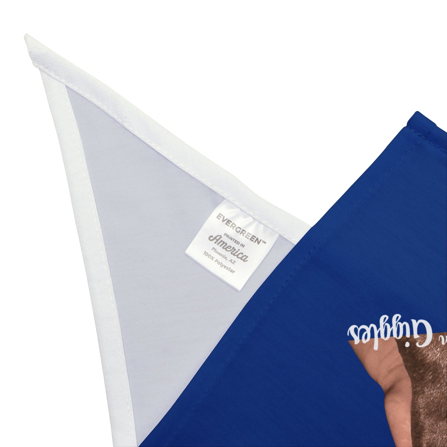 Pet Bandana