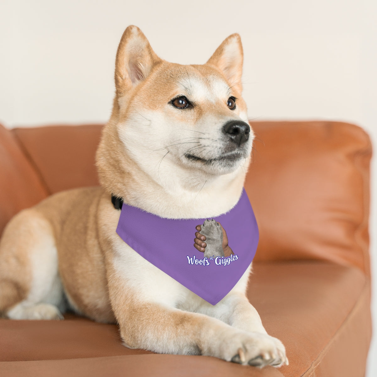 Dark/Gray Pet Bandana Collar