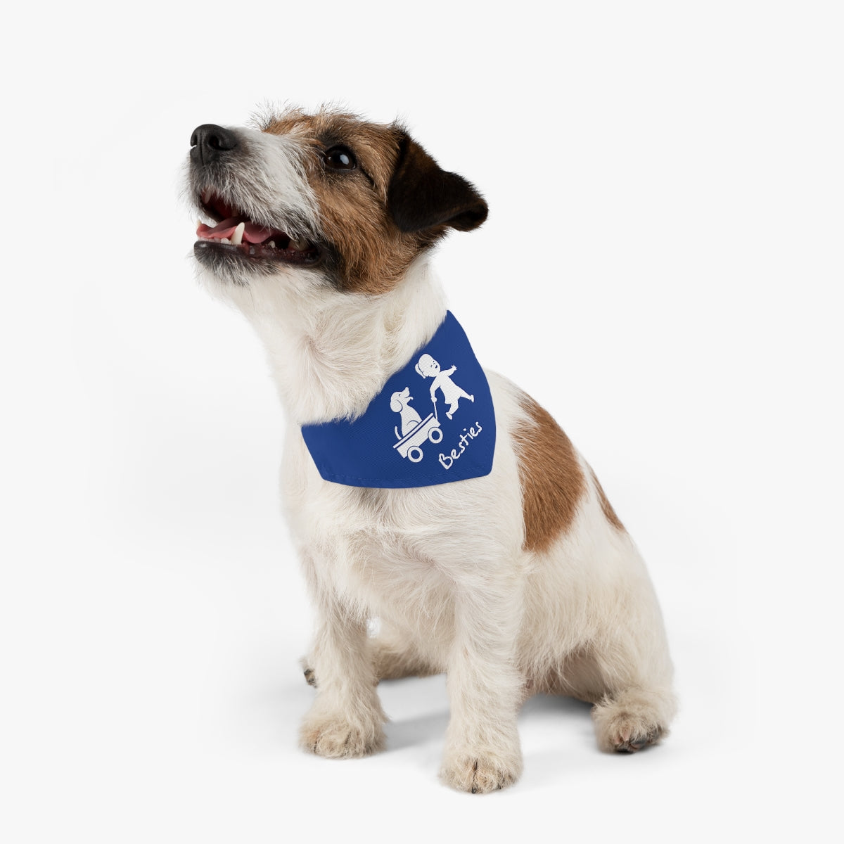 Besties/Blue Pet Bandana Collar