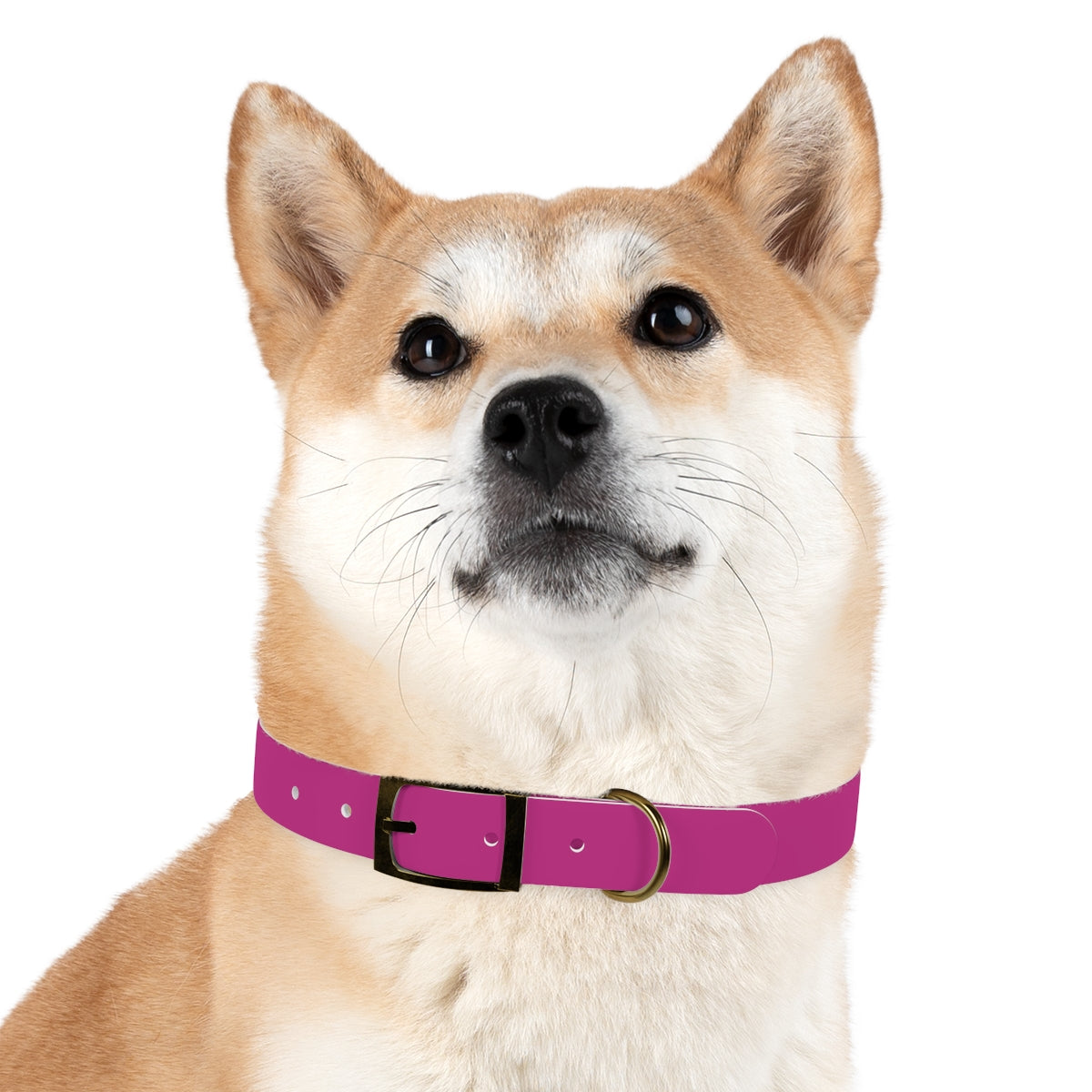 Woofs n' Giggles Dog Collar - Pink