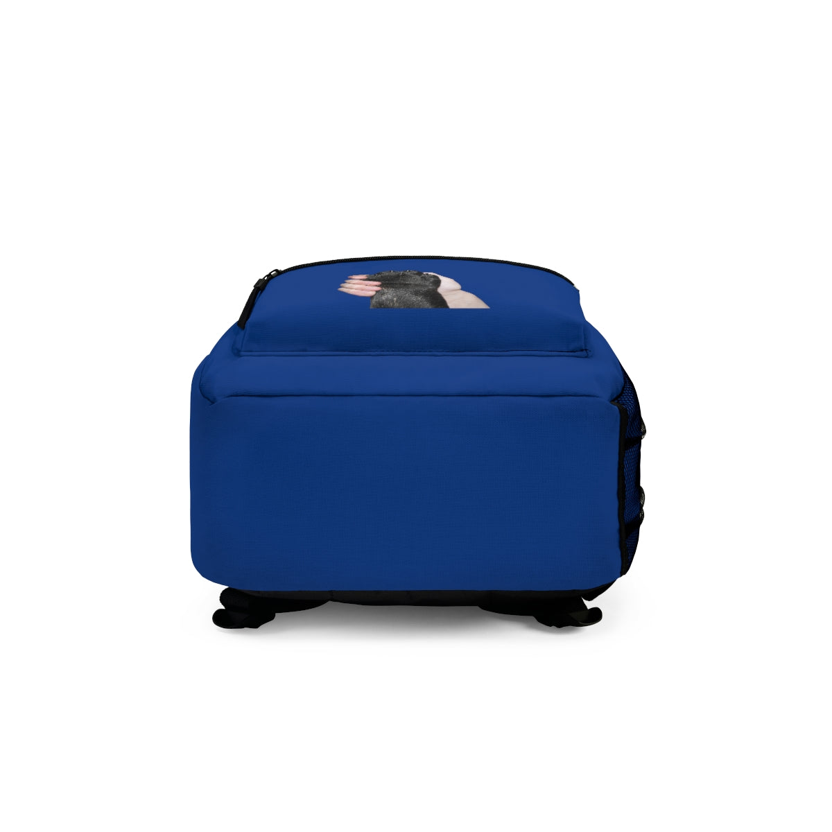 Light/Black Blue Backpack