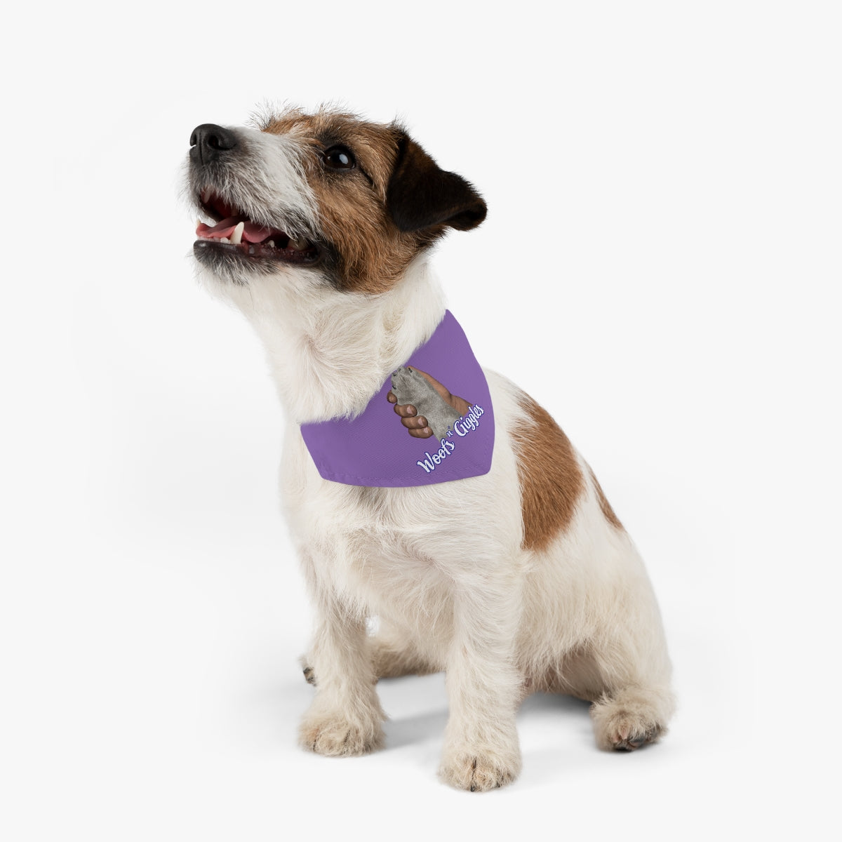 Dark/Gray Pet Bandana Collar