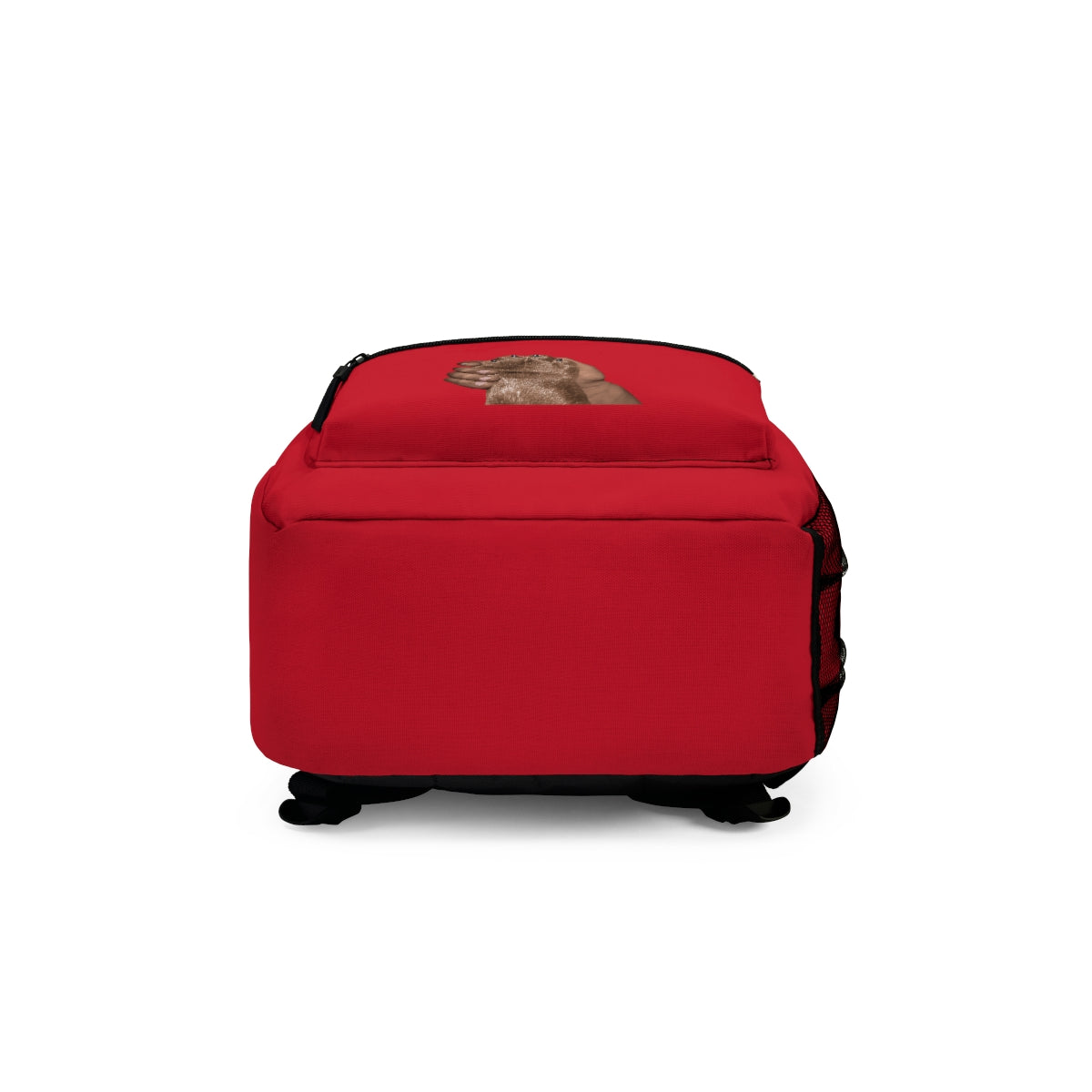 Dark/Brown Red Backpack