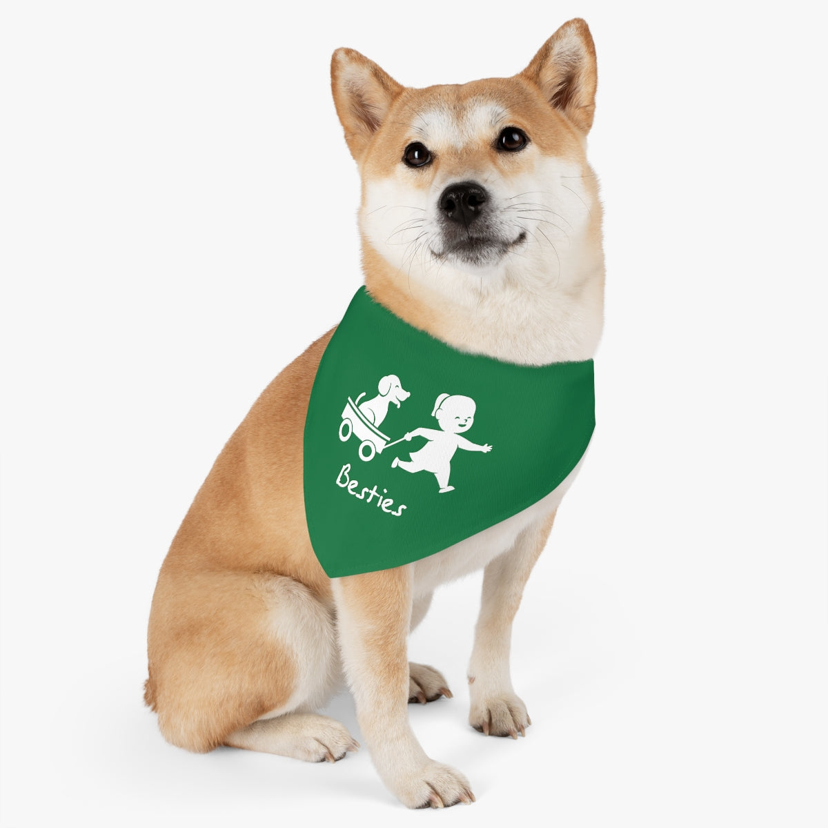 Pet Bandana Collar
