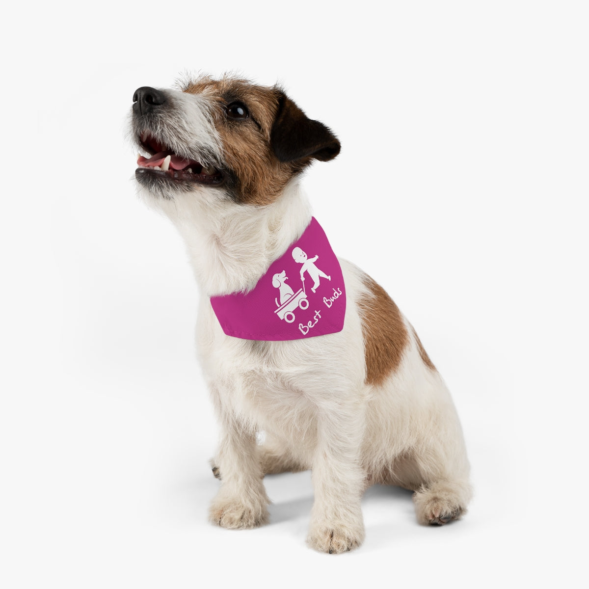Best Buds/Pink Pet Bandana Collar
