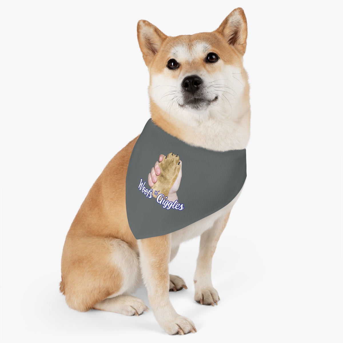 Light/Golden Pet Bandana Collar