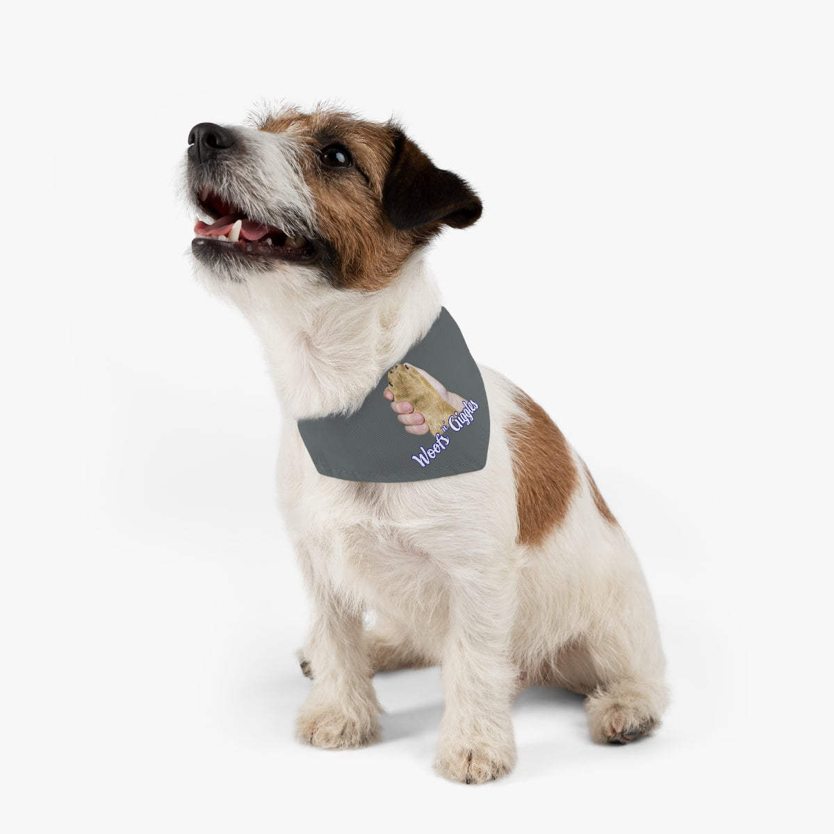 Light/Golden Pet Bandana Collar