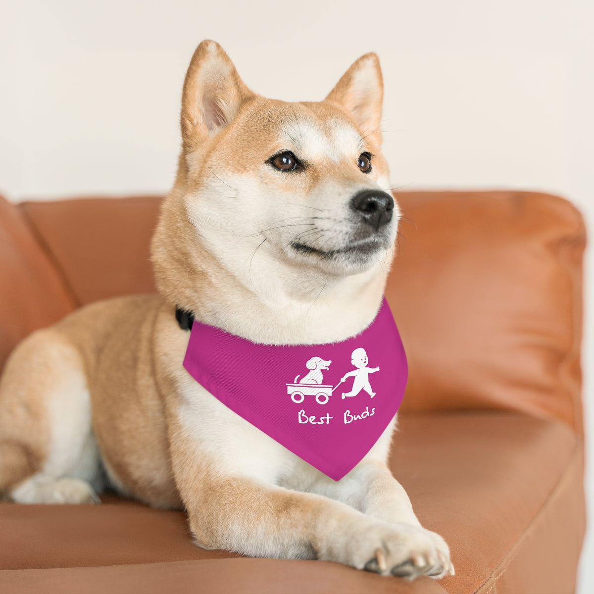 Best Buds/Pink Pet Bandana Collar