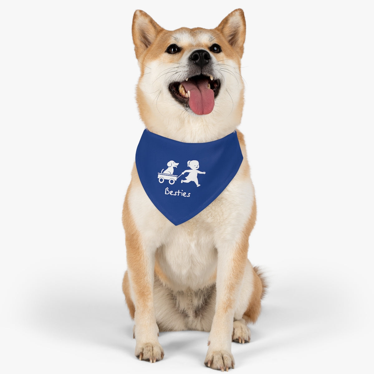 Besties/Blue Pet Bandana Collar