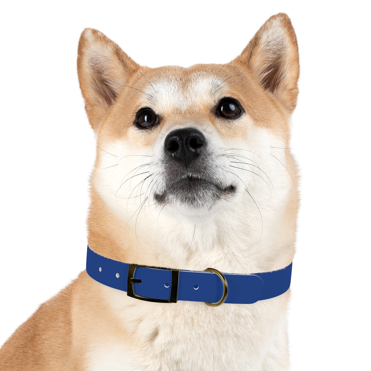 Woofs n' Giggles Dog Collar - Navy