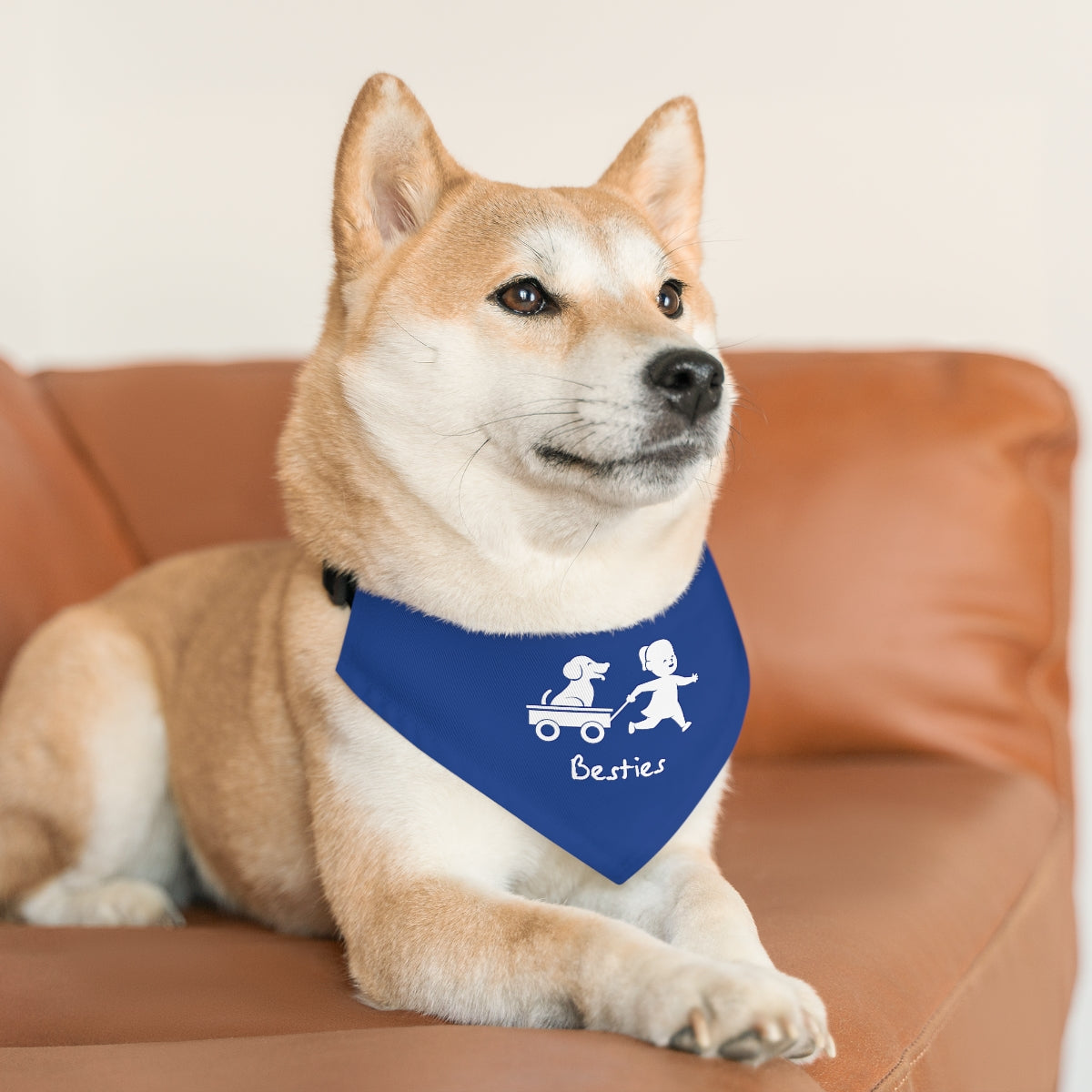 Besties/Blue Pet Bandana Collar