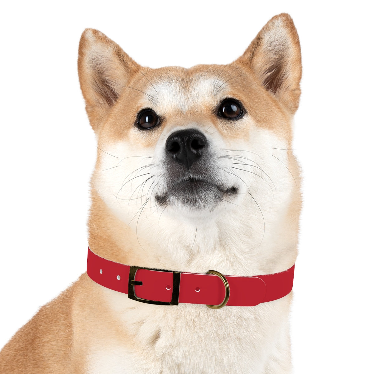 Woofs n' Giggles Dog Collar - Red
