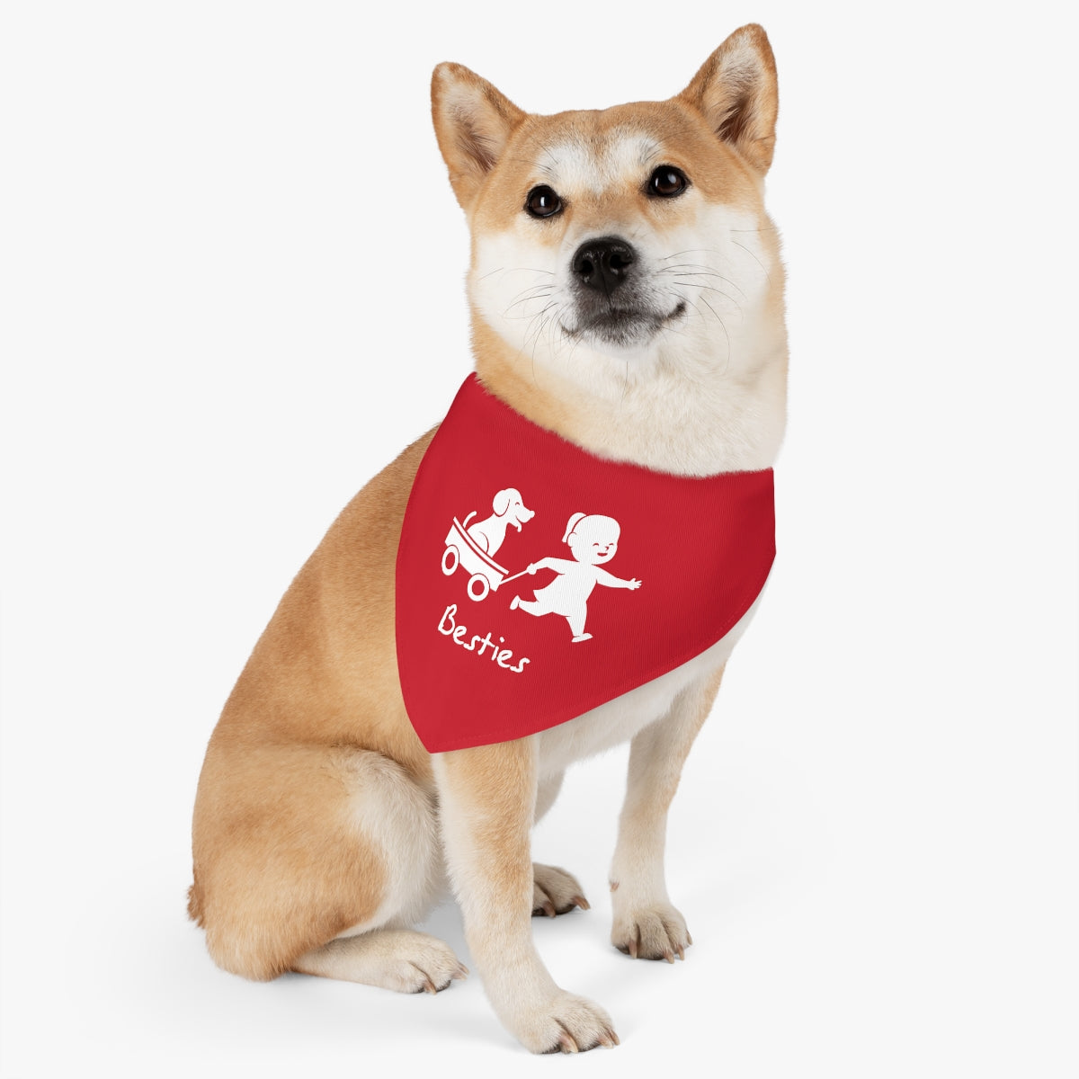 Pet Bandana Collar