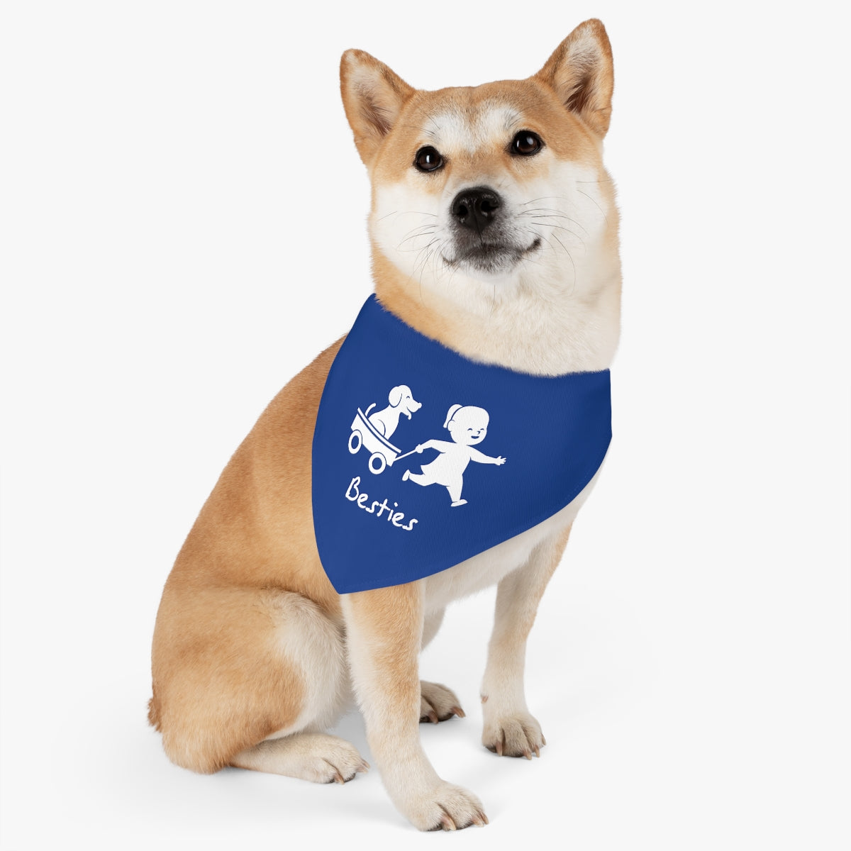 Besties/Blue Pet Bandana Collar