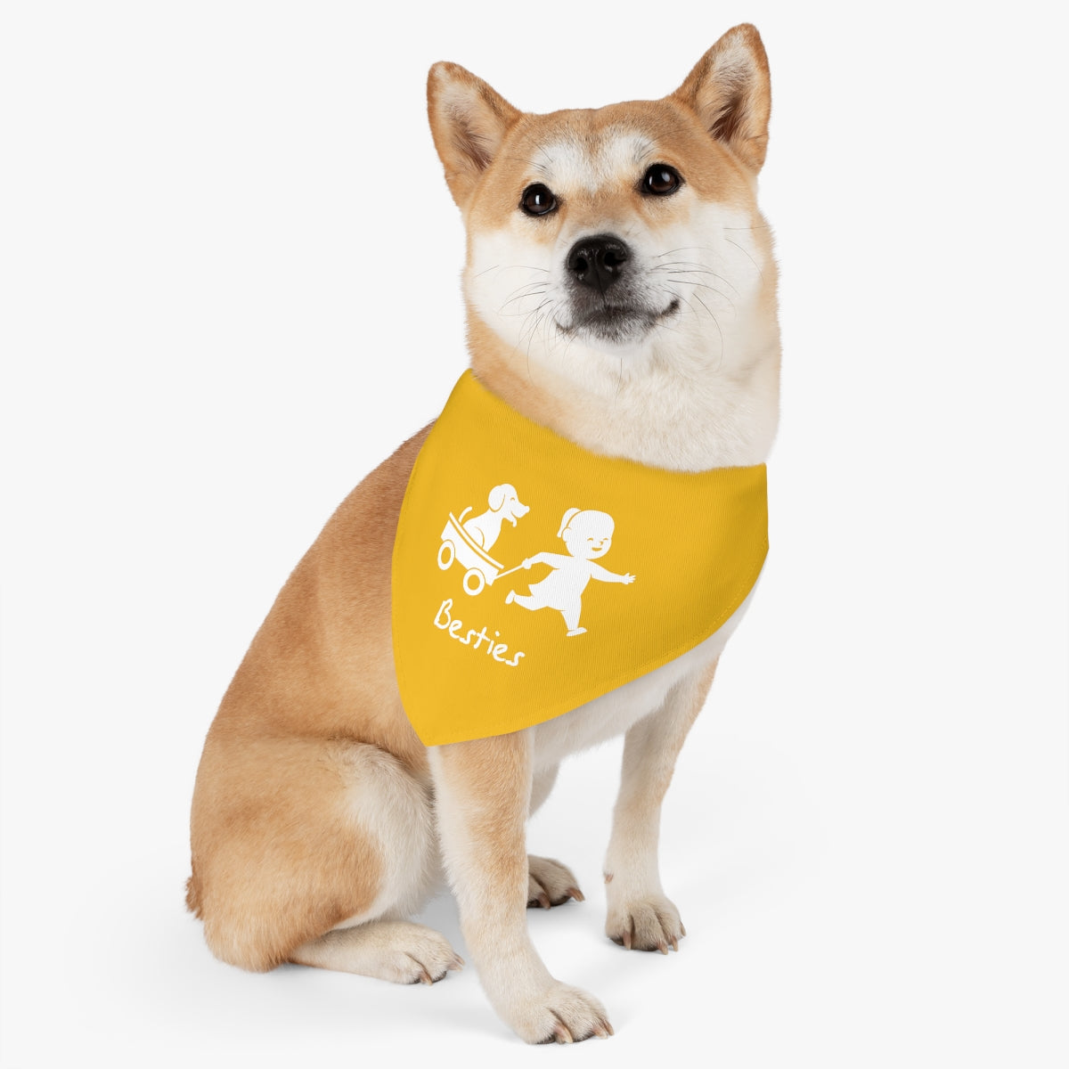 Pet Bandana Collar