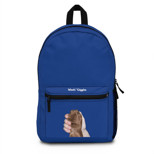 Light/Brown Blue Backpack