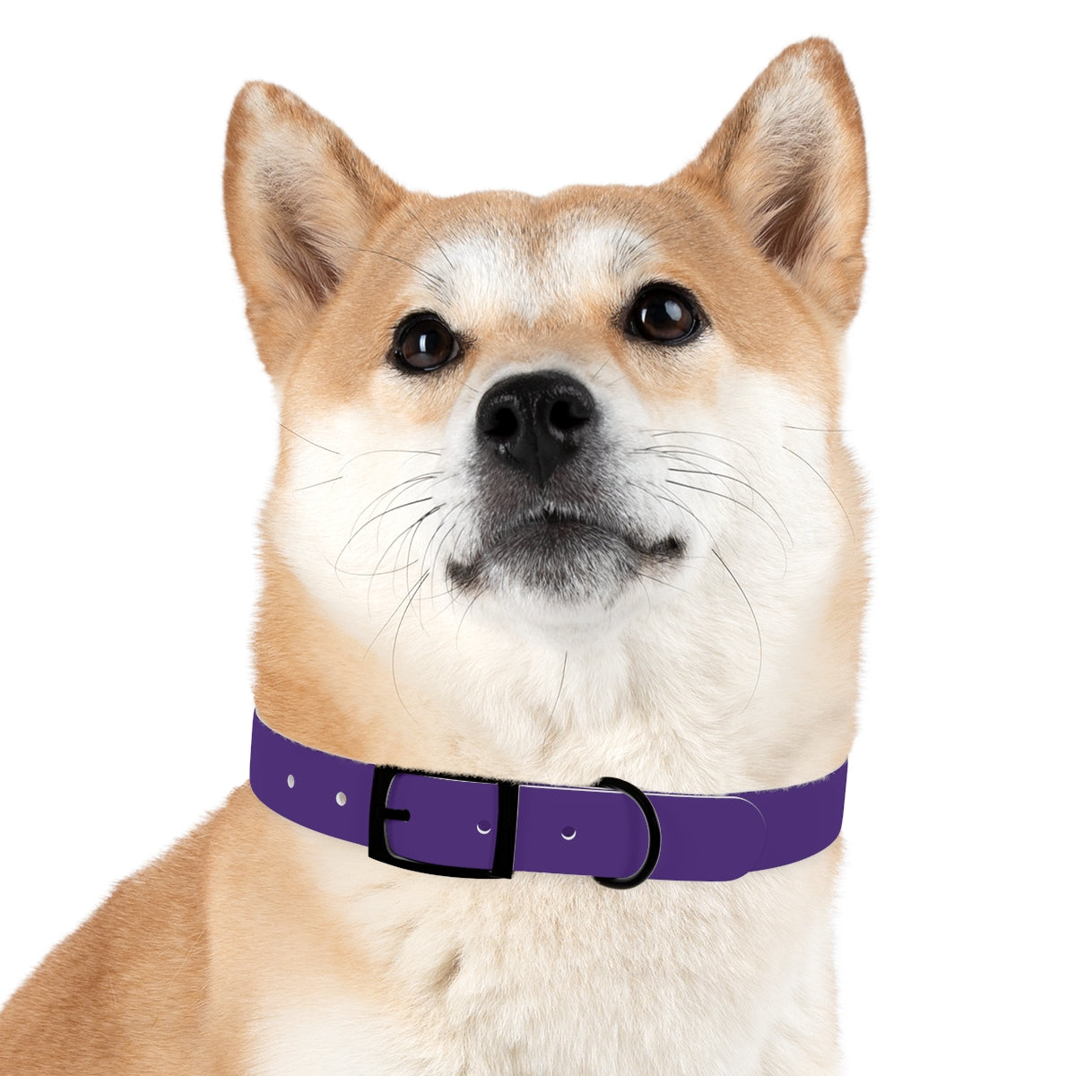 Woofs n' Giggles Dog Collar - Purple