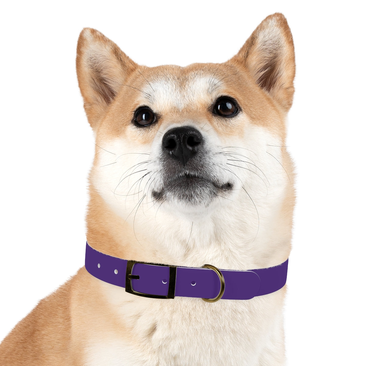 Woofs n' Giggles Dog Collar - Purple